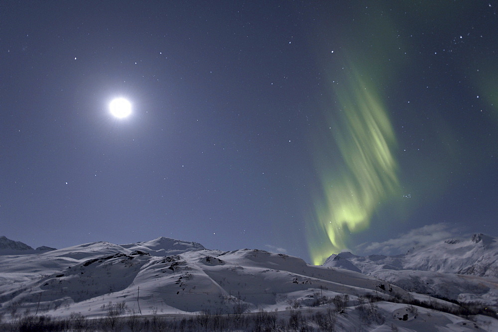 Polar lights (Aurora borealis), and the moon above Sildpollheia mountain near Sildpollneset, Austnesfjorden, Austvagoya, Lofoten, Norway, Europe