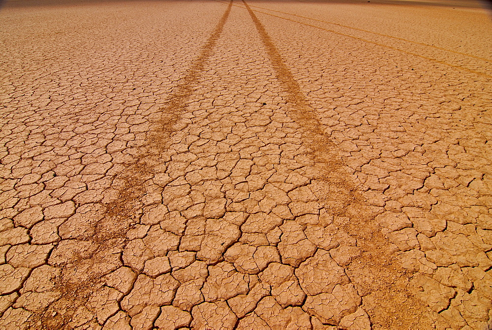 Tyre tracks in a dry lake, Djibouti, East Africa, Africa