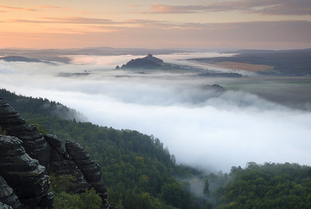 Fog above the Elbe River, Saxon Switzerland, Saxony, Germany, Europe