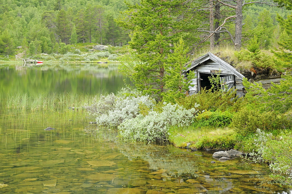 Old cabin beside Lake Lemonsjoen, Norway, Scandinavia, Europe