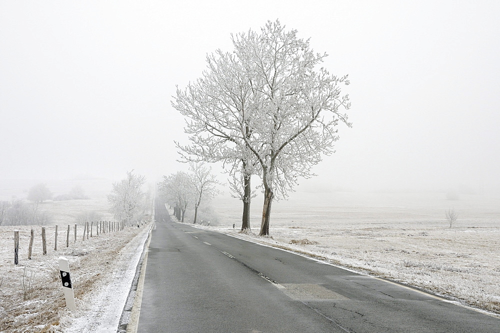Country road in winter, hoarfrost, Harz mountain range, Saxony-Anhalt, Germany, Europe