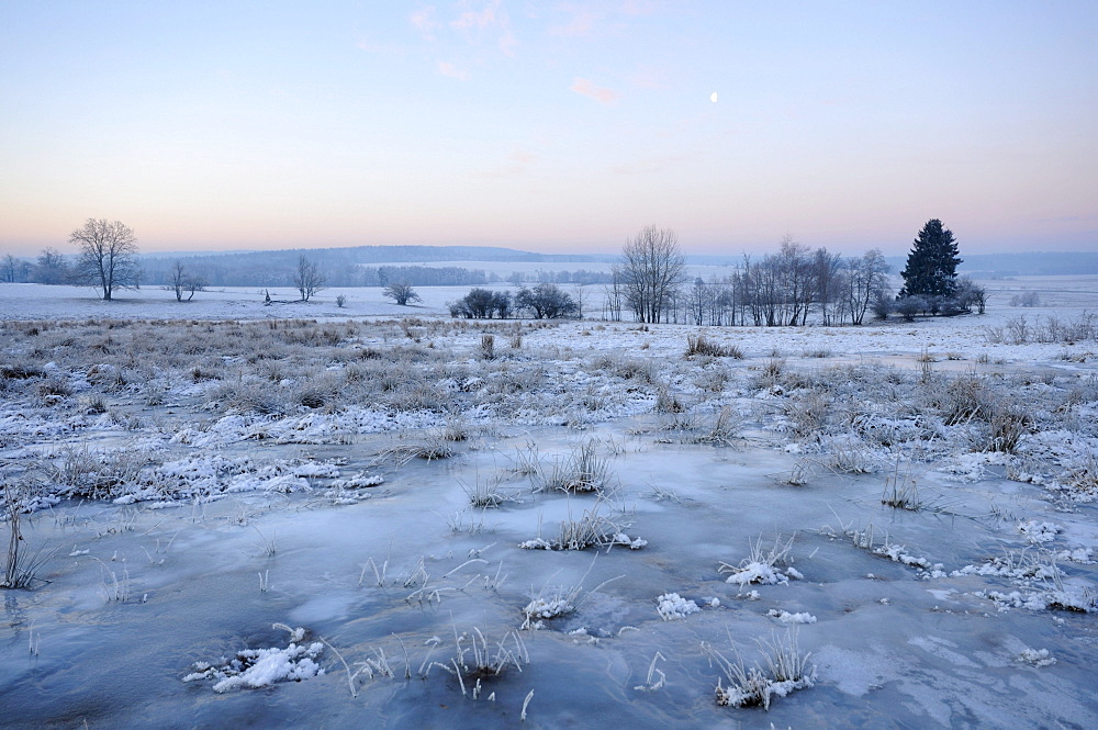 Landscape covered with ice and hoarfrost, southern Harz mountain range, Saxony-Anhalt, Germany, Europe