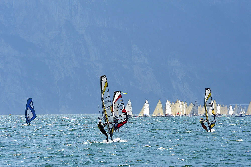 Wind surfers on Lake Garda near Torbole, province of Trento, Trentino, Italy, Europe