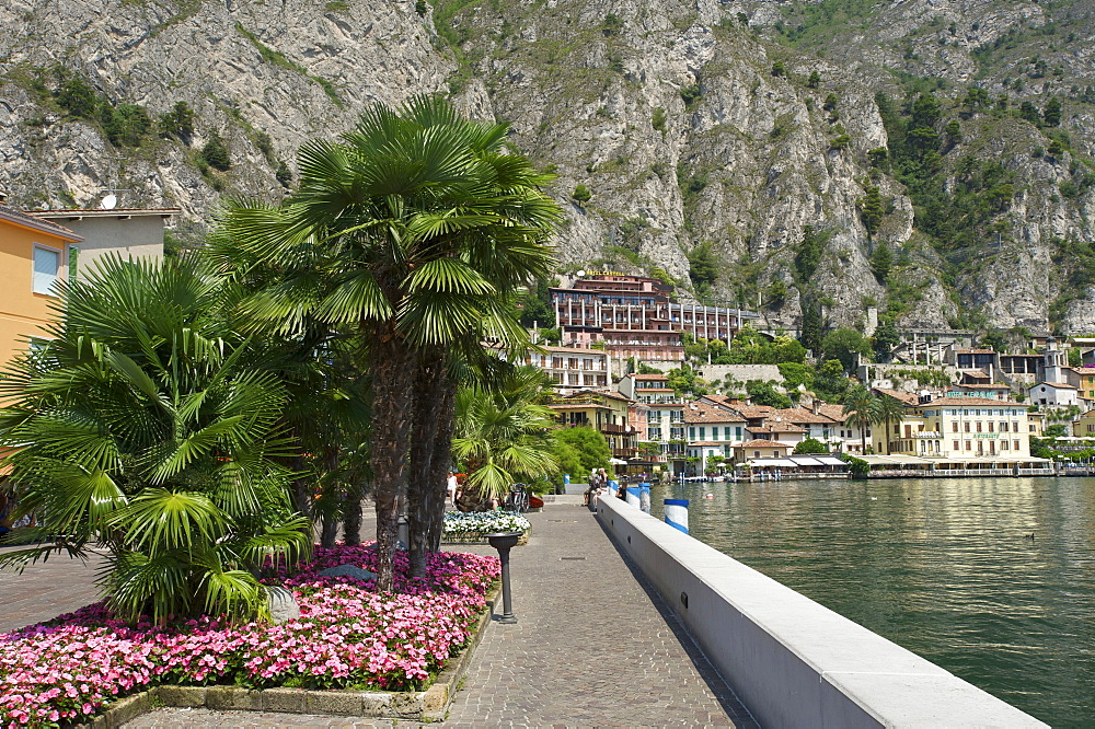 Lakeside promenade of Limone sul Garda on Lake Garda, province of Trento, Trentino, Italy, Europe