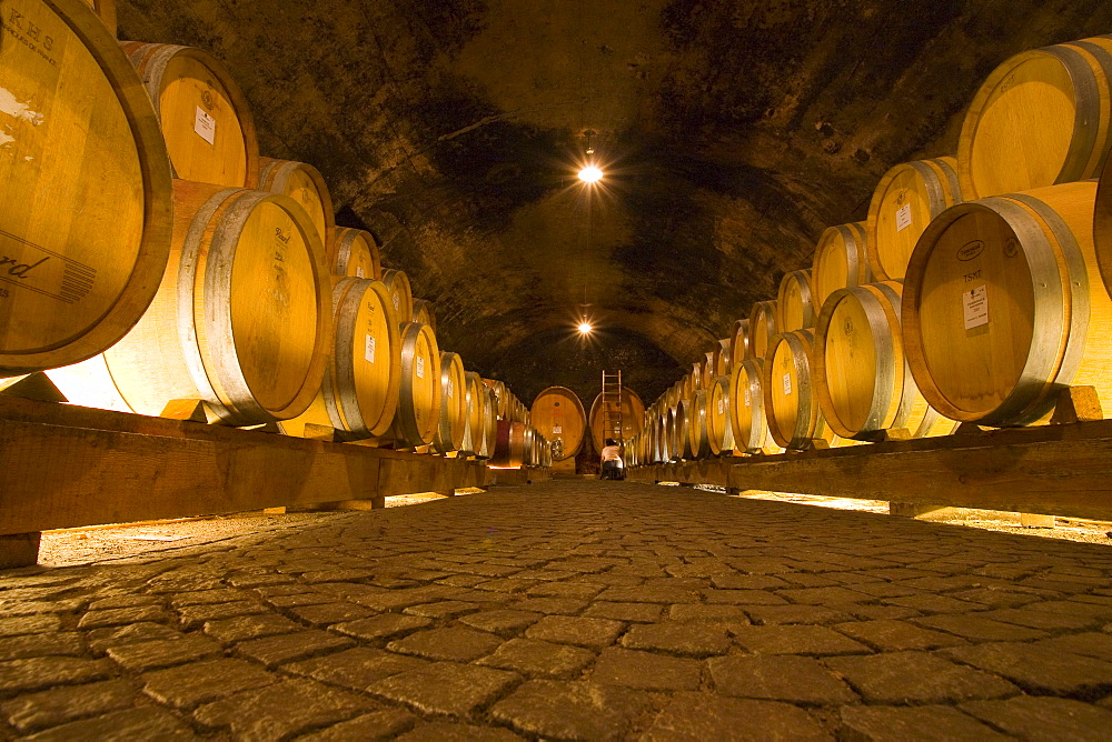 Wine barrels in a wine cellar