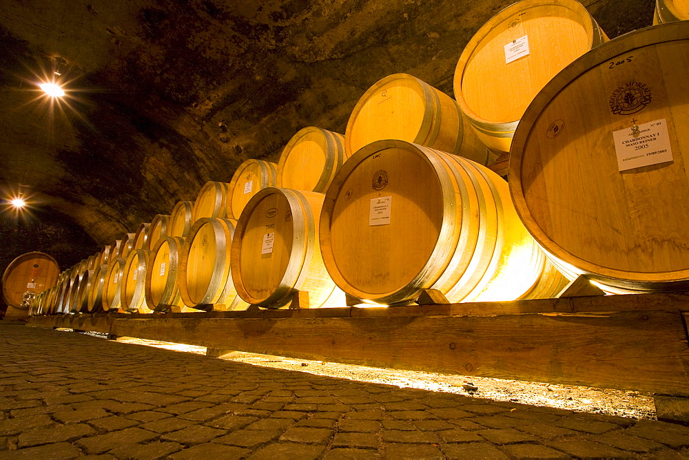 Wine barrels, province of Bolzano-Bozen, Italy, Europe