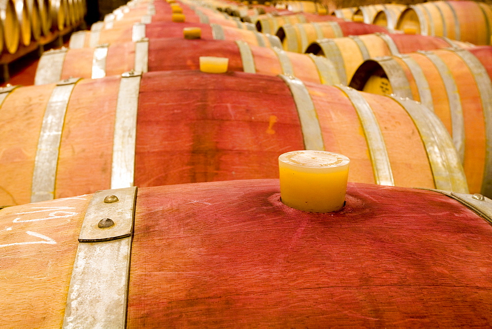 Wine barrels in a wine-cellar