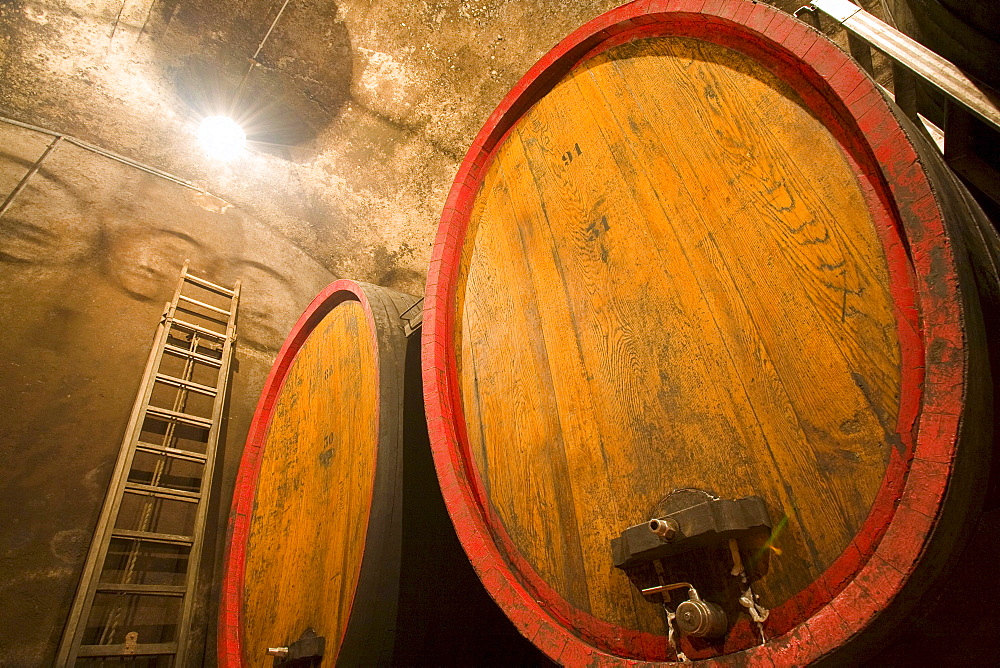 Wine barrels in a wine-cellar