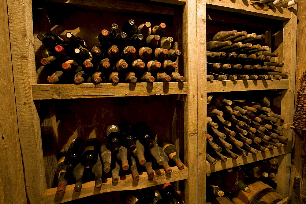 Old wine collection, wine cellar