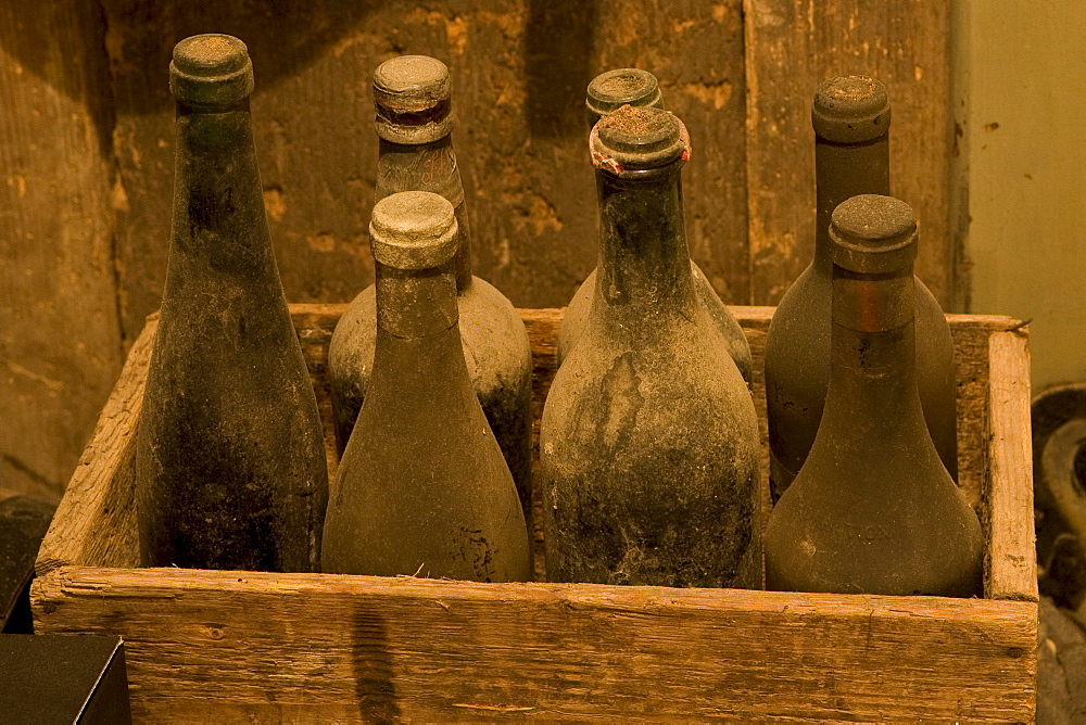 Old wine collection, wine cellar