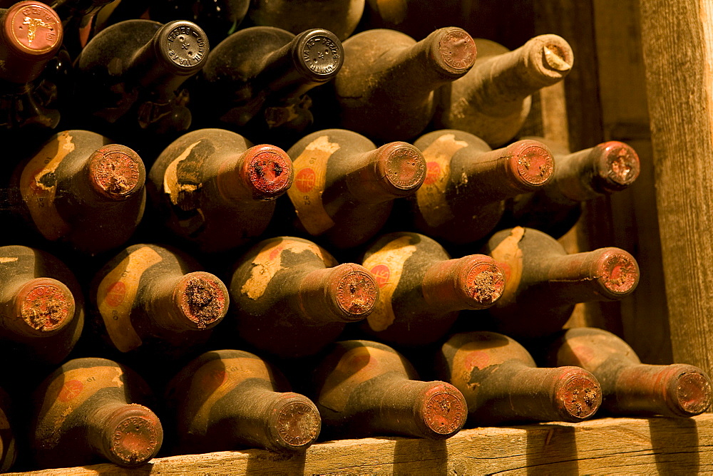 Old wine collection, wine cellar