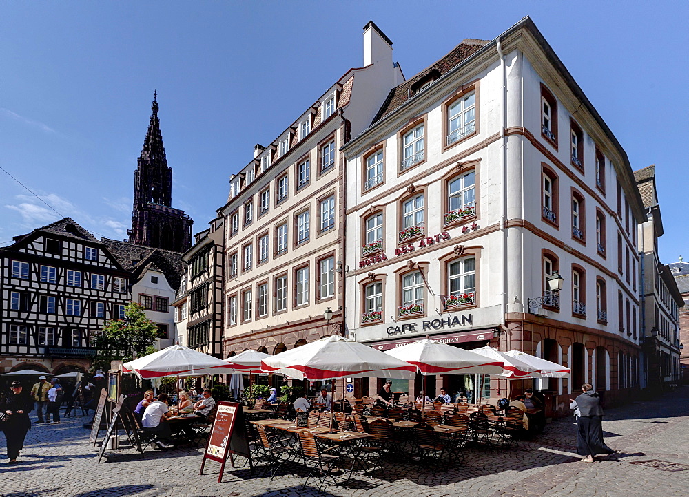 Street with typical wine bars, restaurants and small hotels in the Rue du Maroquin, Strasbourg, Alsace, France, Europe