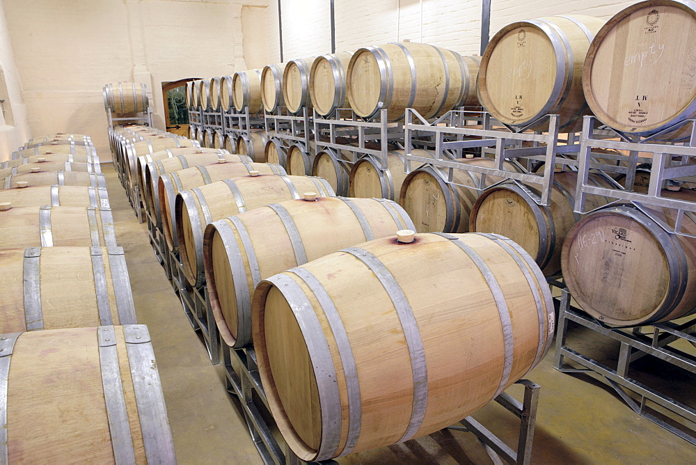 Wine cellar with oak barrels