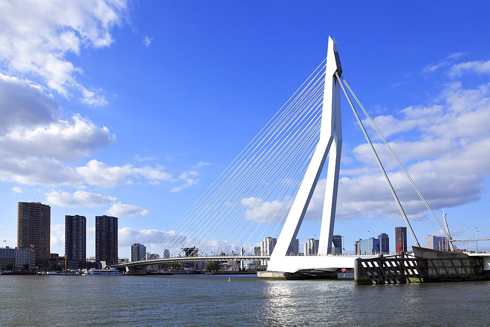 Erasmus Bridge, a cable-stayed bridge, panorama in front of the skyline of Rotterdam, Holland, Netherlands, Europe