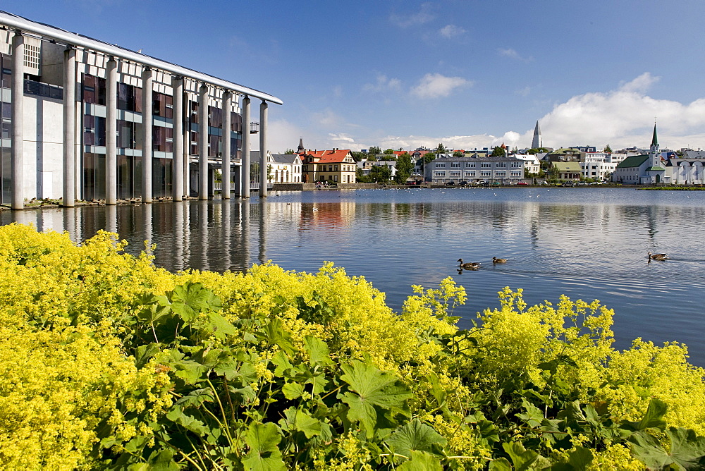 Tjoernin Lake in the centre of Reykjavik, Iceland, Europe