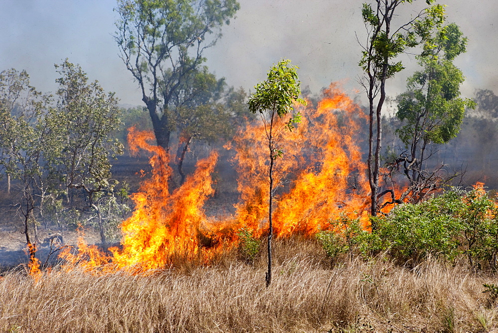 Bushfires, Northern Territory, Australia