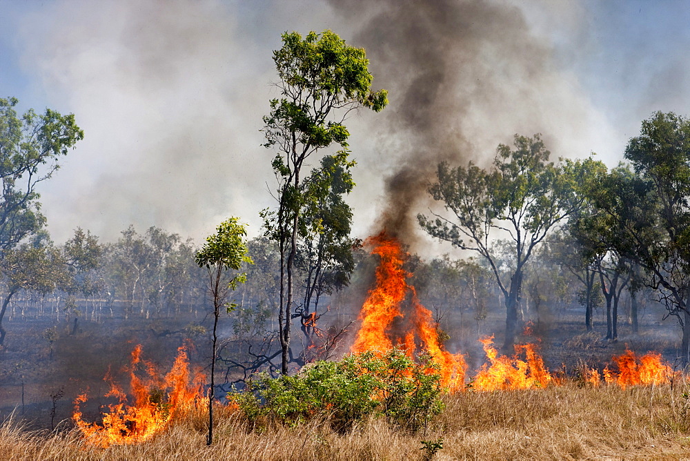 Bushfires, Northern Territory, Australia