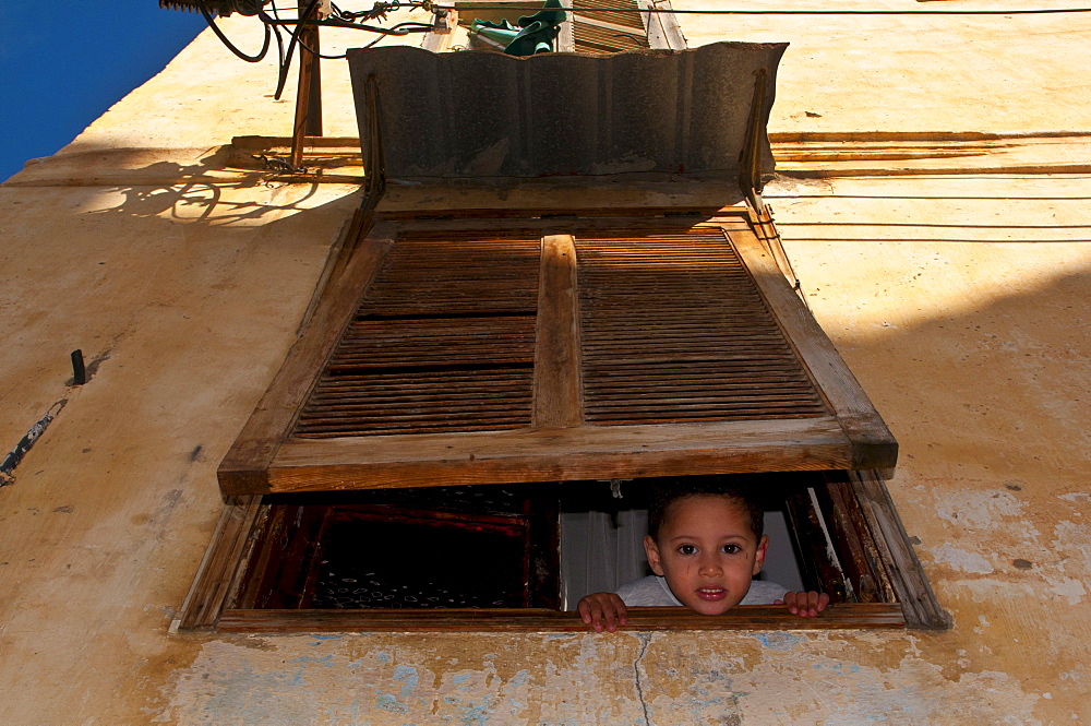 Boy looking out of a window underneath a window shutter, in the Kasbah, Unesco World Heritage site, historic district of Algiers, Algeria, Africa