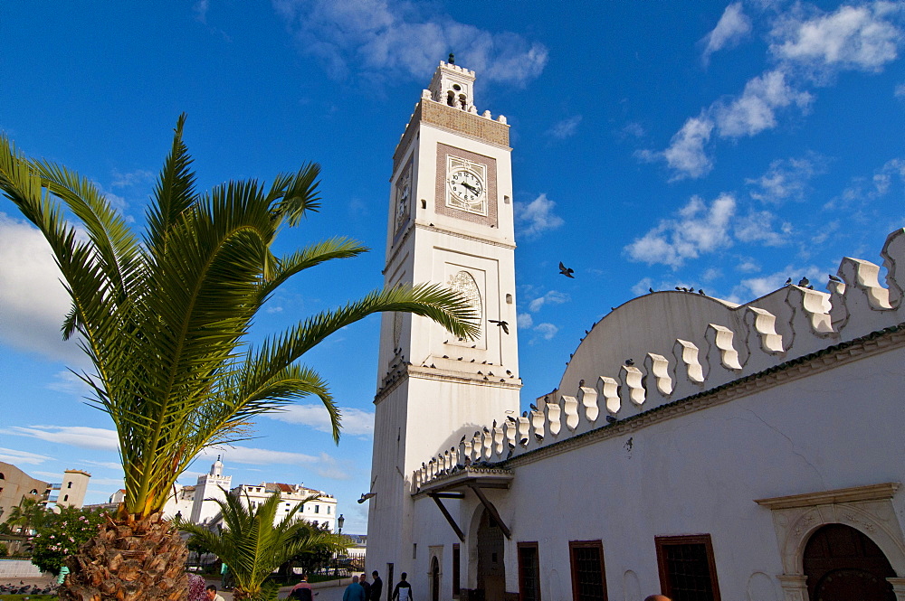 Mosque Jamaa-el-Jedid or Mosque of the Fishermen on Martyrs' Square in Algiers, Algeria, Africa