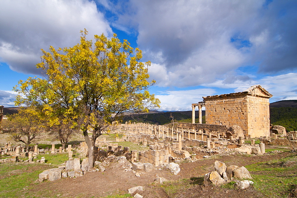 Temple of Septimius Severus, the Roman ruins of Djemila, Unesco World Heritage Site, Kabylie, Algeria, Africa