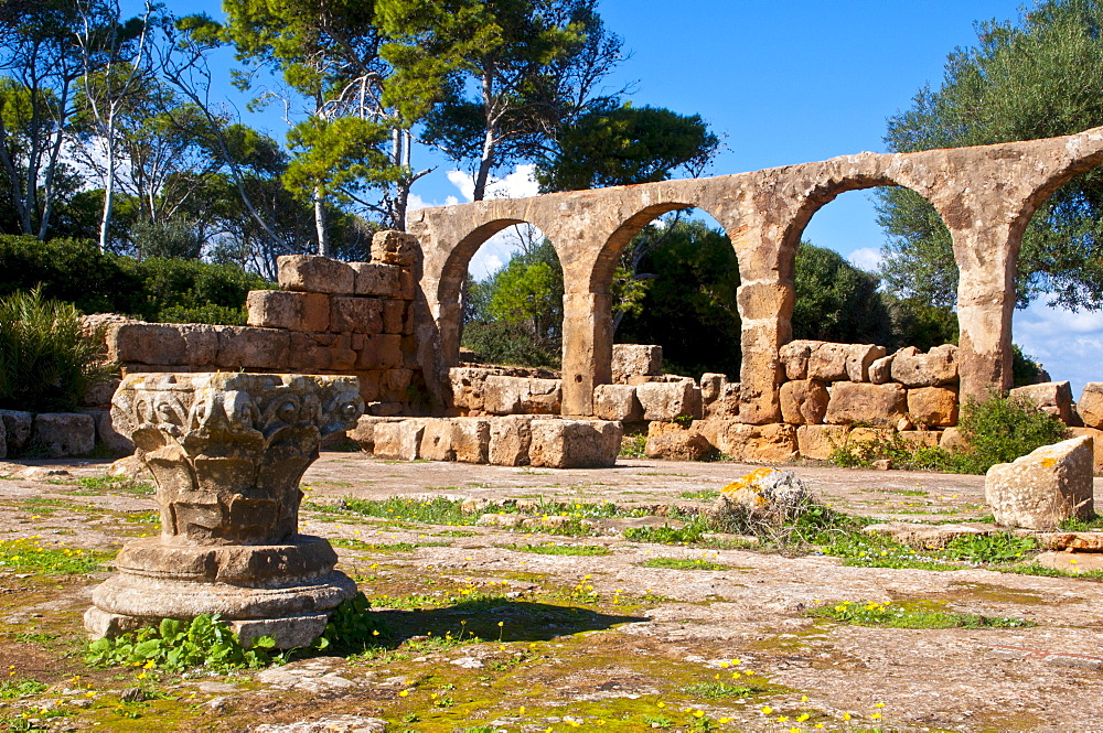 The Roman ruins of Tipasa, Unesco World Heritage Site, Algeria, Africa