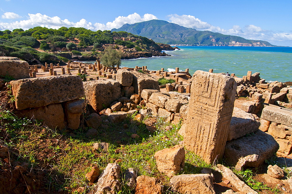 Roman ruins of Tipasa, UNESCO World Heritage Site, Algeria, Africa