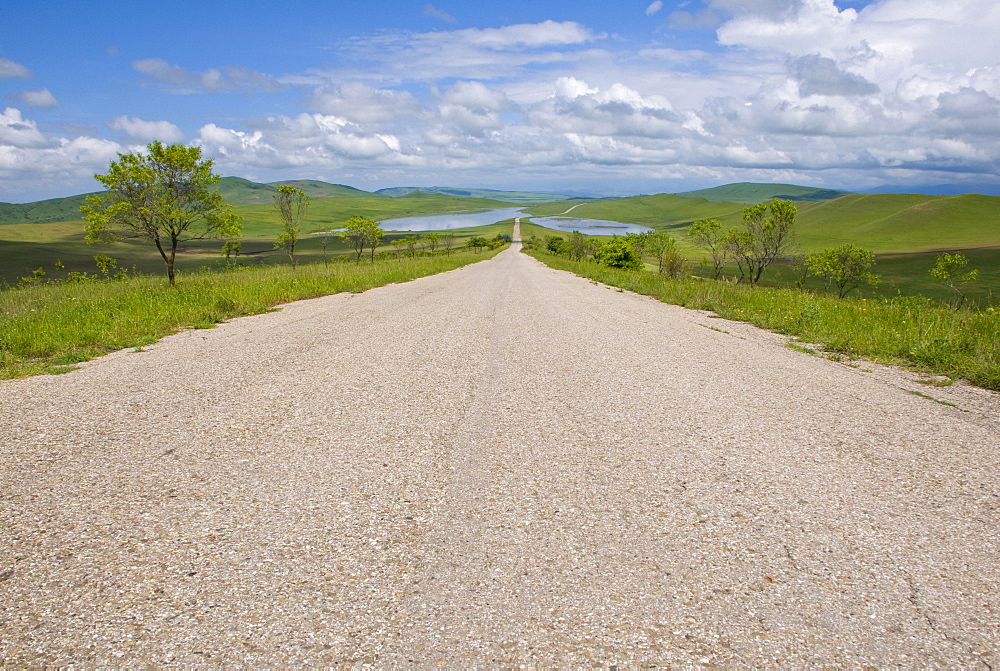 Road through the unforested green mountain landscape in Kakheti, Georgia, Caucasus