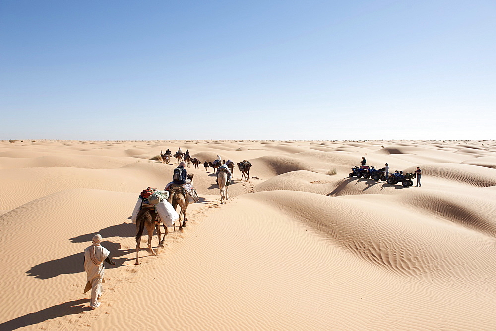 Sustainable tourism, camel trekking, camels, dromedaries (Camelus dromedarius), caravan encountering a group of quads, sand dunes, Sahara desert between Douz and Ksar Ghilane, Southern Tunisia, Tunisia, Maghreb, North Africa, Africa