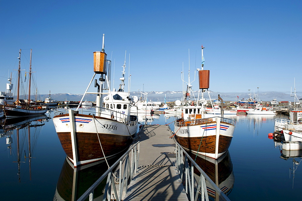 Wharf, old fishing boats, whale watching boats in the port of Husavik, Iceland, Scandinavia, Northern Europe, Europe