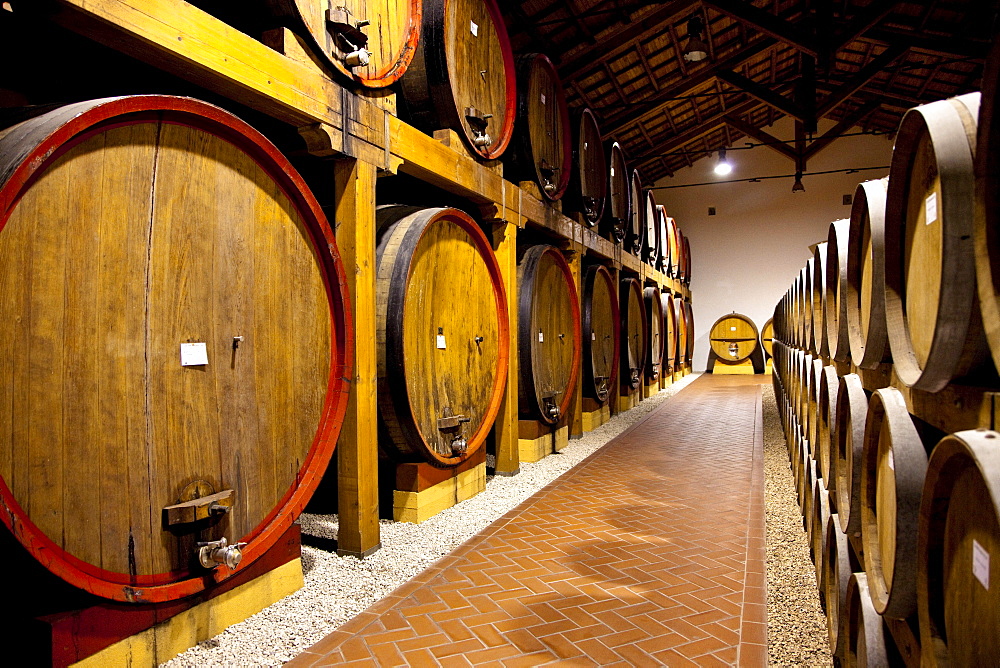 Wine cellar, Cantina Pellegrino, Marsala, Sicily, Italy, Europe