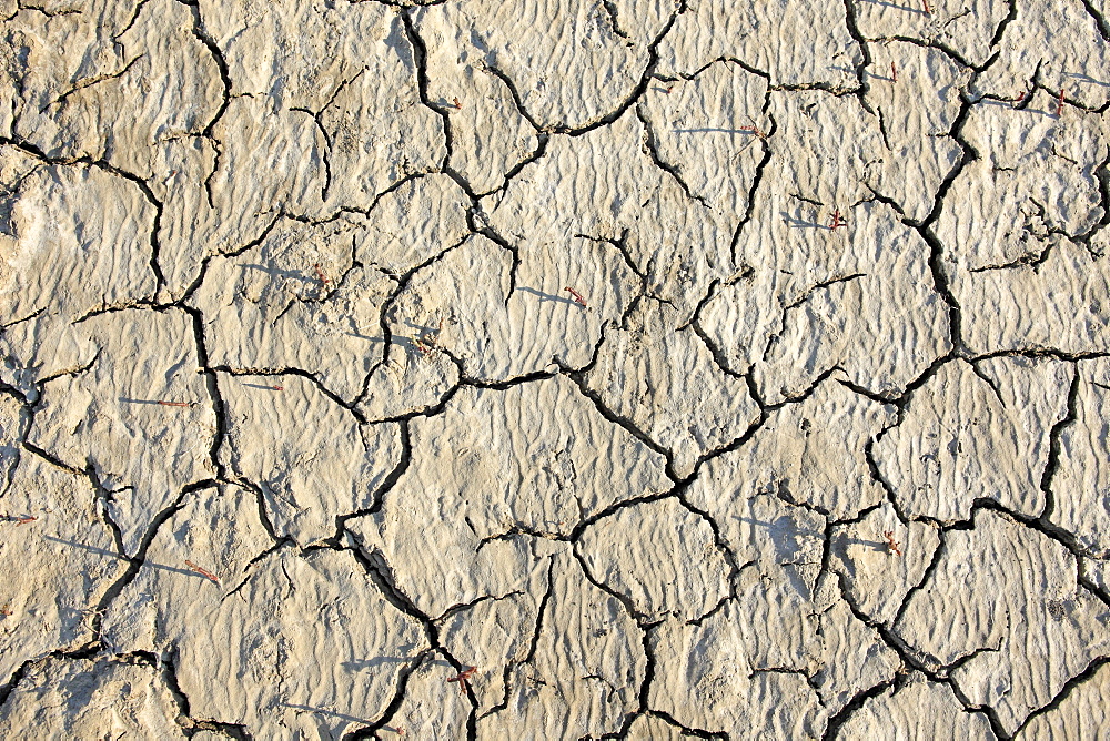 Parched soil surface, Saintes-Marie-de-la-Mer, Bouches du Rhone, Camargue, France, Europe