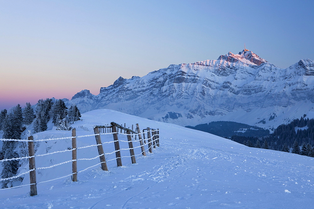 Evening mood on wintry Hochalp mountain, alpine pasture, Swiss Alps, Alpstein massif and Saentis mountain, Switzerland, Europe