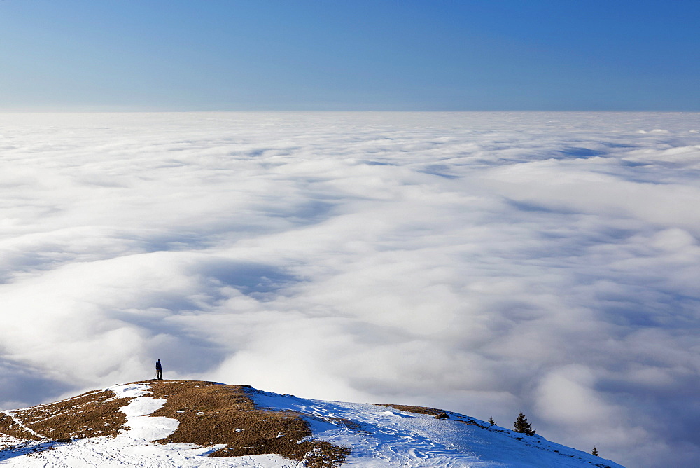 Lonely hiker walking above a sea of fog, low clouds, on Faehnerenspitze mountain in the Appenzell region, Switzerland, Europe