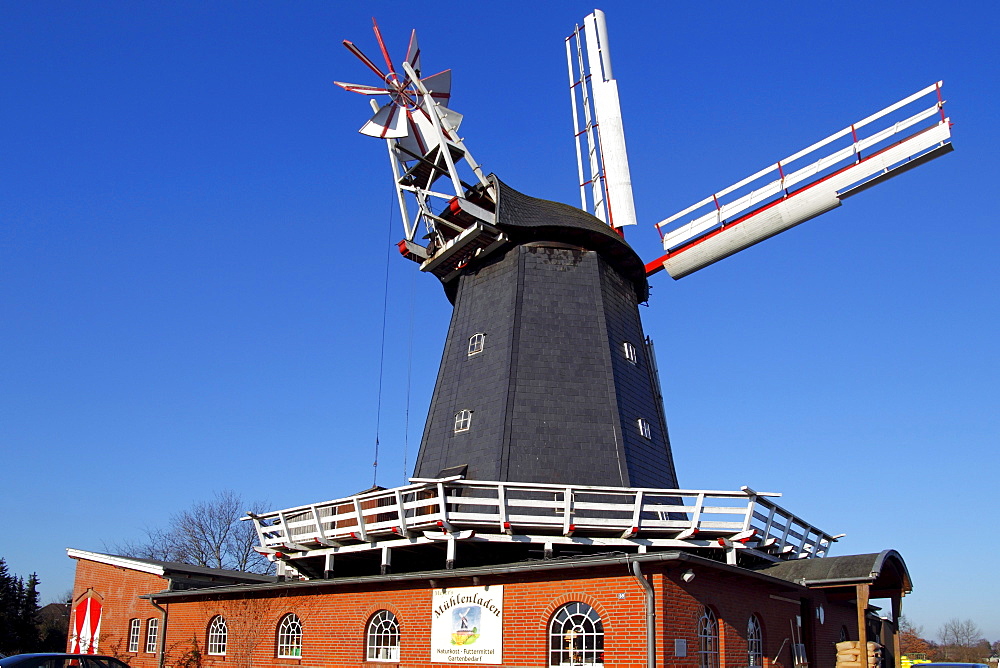 Meyer's Muehle old smock windmill built in typical dutch style, Bardowick, district Lueneburg, Lower Saxony, Germany