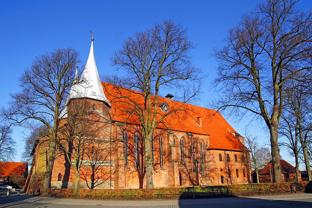 Historic cathedral St. Petri et Pauli zu Bardowick, Bardowick, Lueneburg district, Lower Saxony, Germany