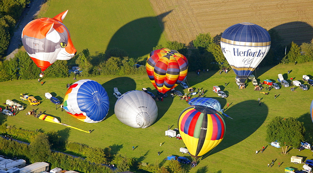 Aerial view, 20th Warsteiner Montgolfiade, hot air balloon festival with nearly 200 hot air balloons ascending into the sky, Warstein, Sauerland, North Rhine-Westphalia, Germany, Europe