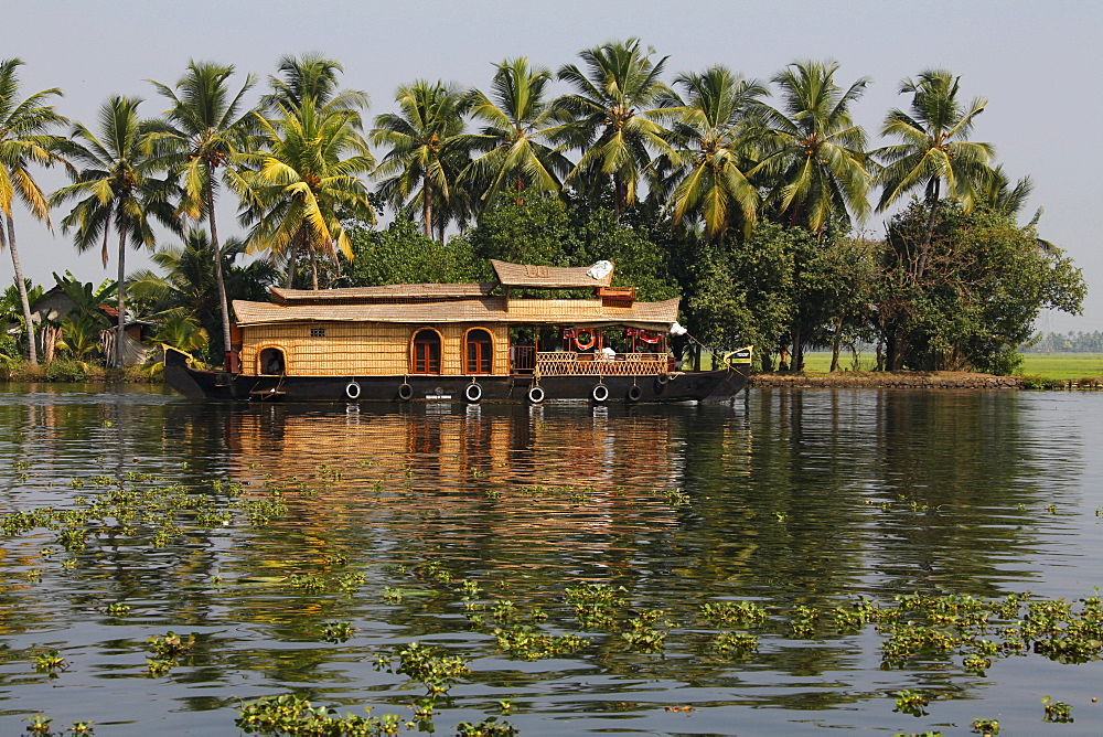 Luxury houseboat on a canal in front of palm trees, Haripad, Alappuzha, Alleppey, Kerala, India, Asia