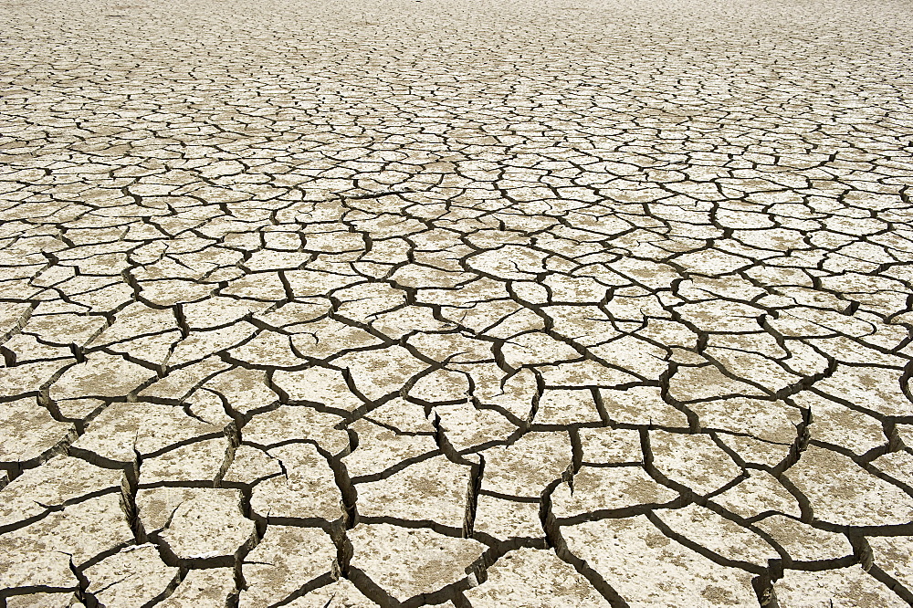 Parched lake, Andalucia, Spain, Europe