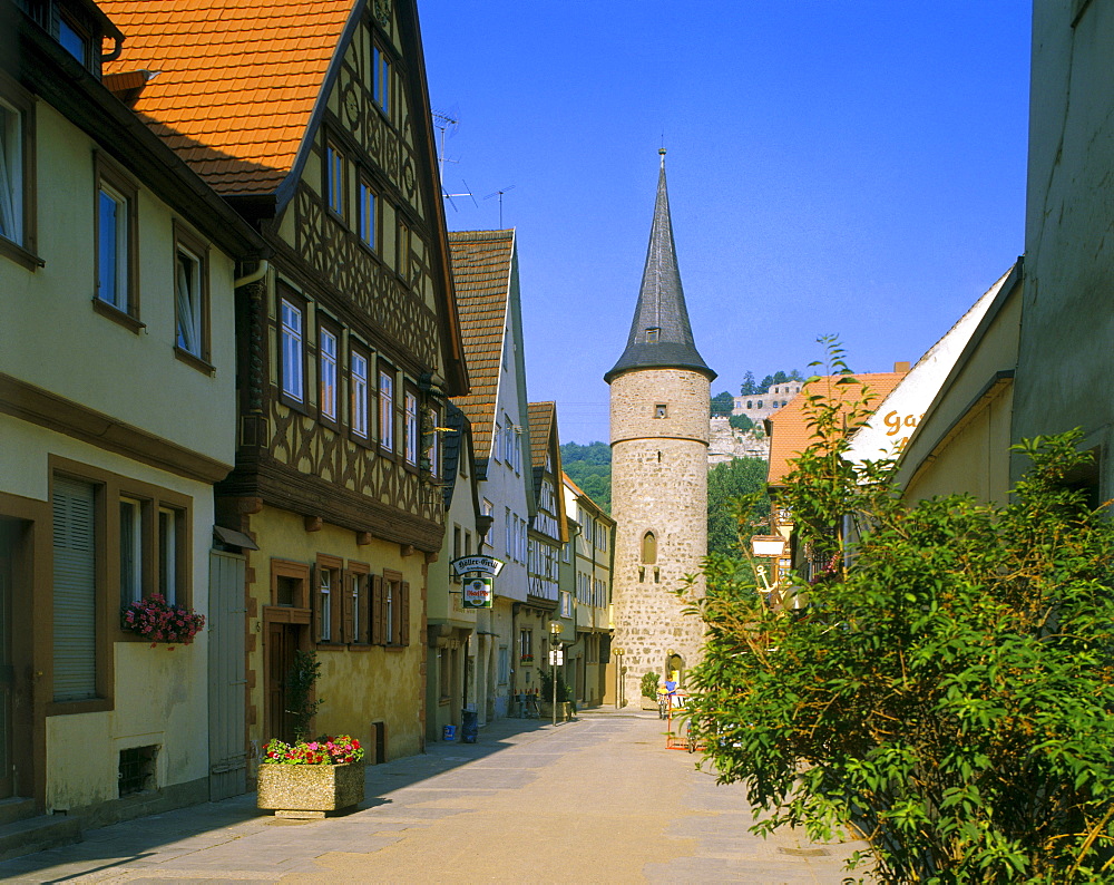 Karlstadt am Main, Lower Franconia, Bavaria, Germany, Europe