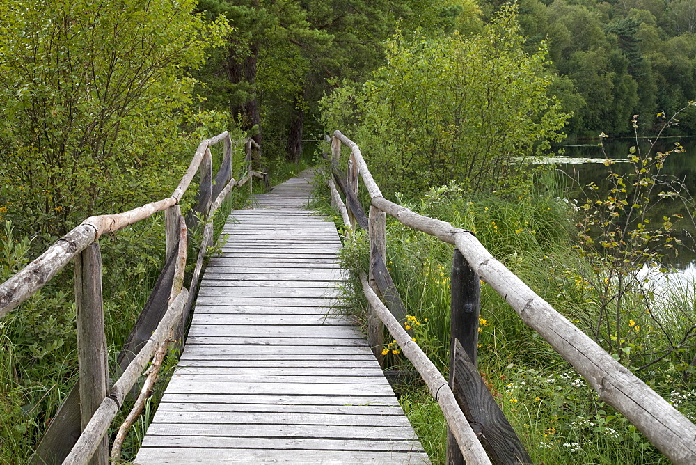 Boardwalk, Wienpietschseen Lakes, Mueritz National Park, Mecklenburg Lake District, Mecklenburg-Western Pomerania, Germany, Europe