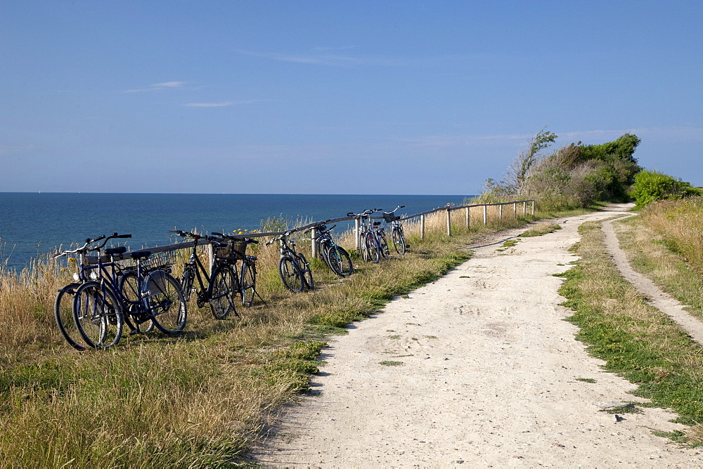 Path above the steep coast, Baltic Sea resort town of Ahrenshoop, Fischland, Mecklenburg-Western Pomerania, Germany, Europe