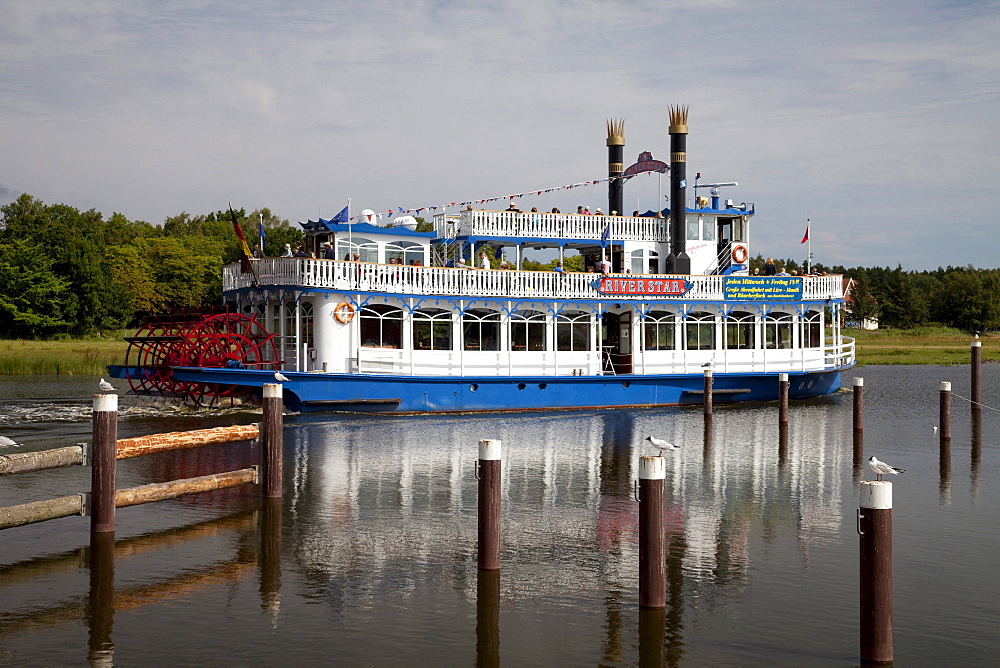 Bodden tour on the Prerower Strom estuary, Riverstar paddle steamer, Fischland-Darss-Zingst peninsula, Mecklenburg-Western Pomerania, Germany, Europe