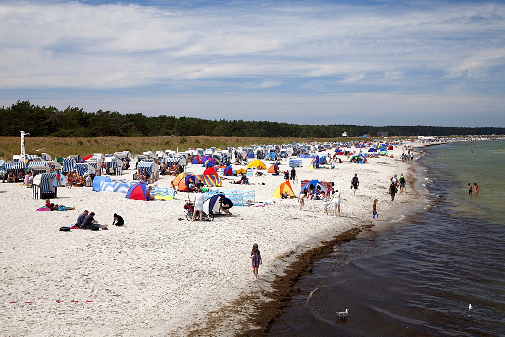 Beach, Prerow Baltic resort, Fischland-Darss-Zingst peninsula, Mecklenburg-Western Pomerania, Germany, Europe