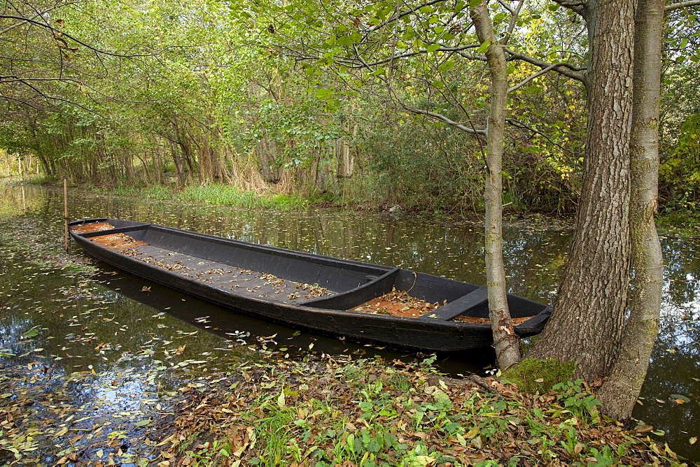 Kahn boat on the Fliess River, Luebbenau, Spreewald Biosphere Reserve, Brandenburg, Germany, Europe