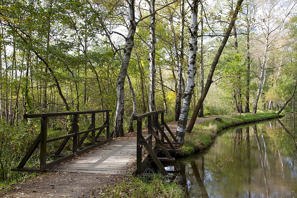 Boardwalk and trail along the Fliess River, Luebbenau, Spreewald Biosphere Reserve, Brandenburg, Germany, Europe