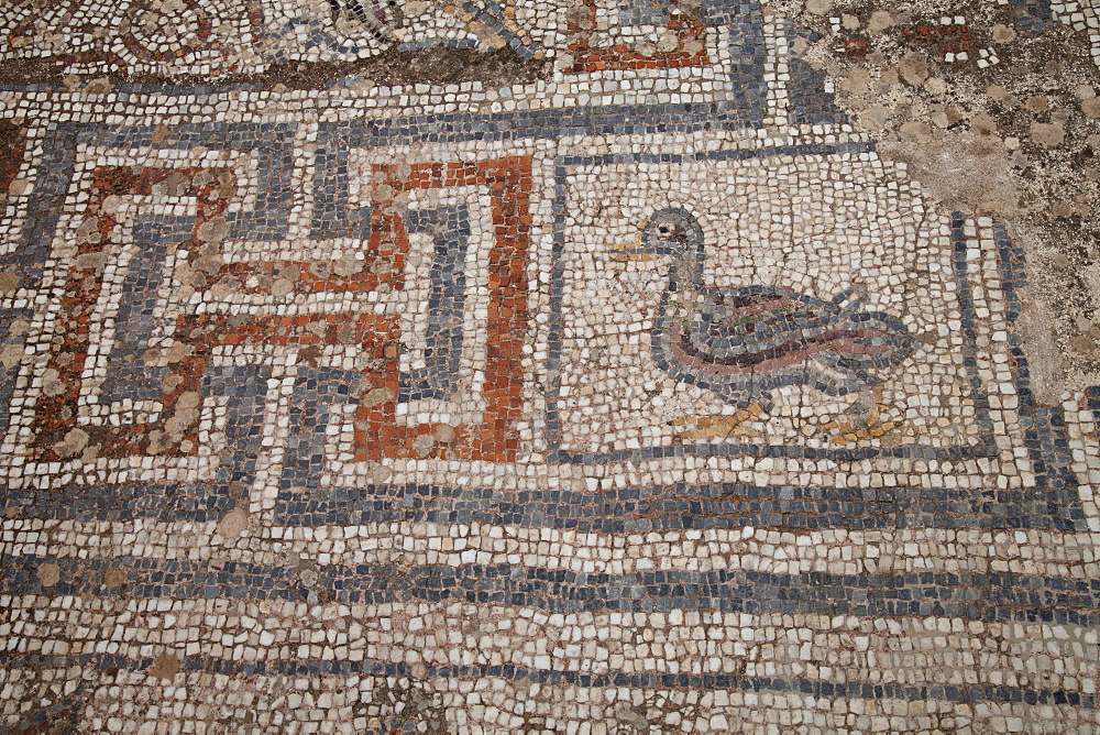 Mosaic floor of the hill houses, Ephesus, Selcuk, Lycia, Turkey, Asia