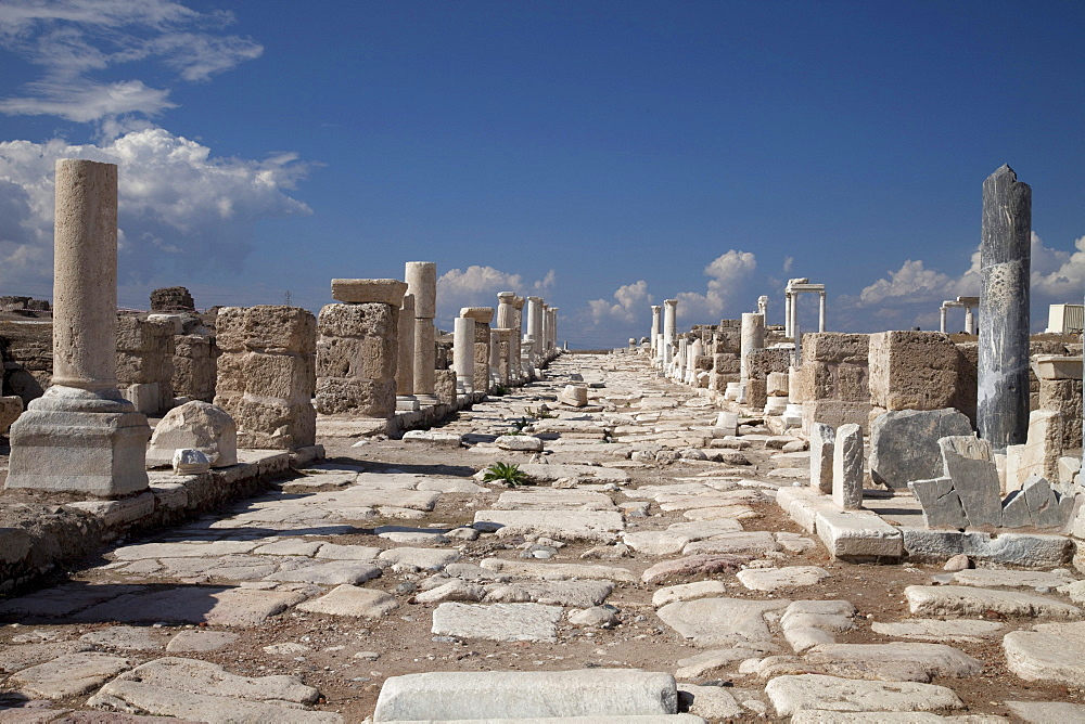 Syria Street, archeological site, museum, Laodicea, Denizli, Lycia, Turkey, Asia