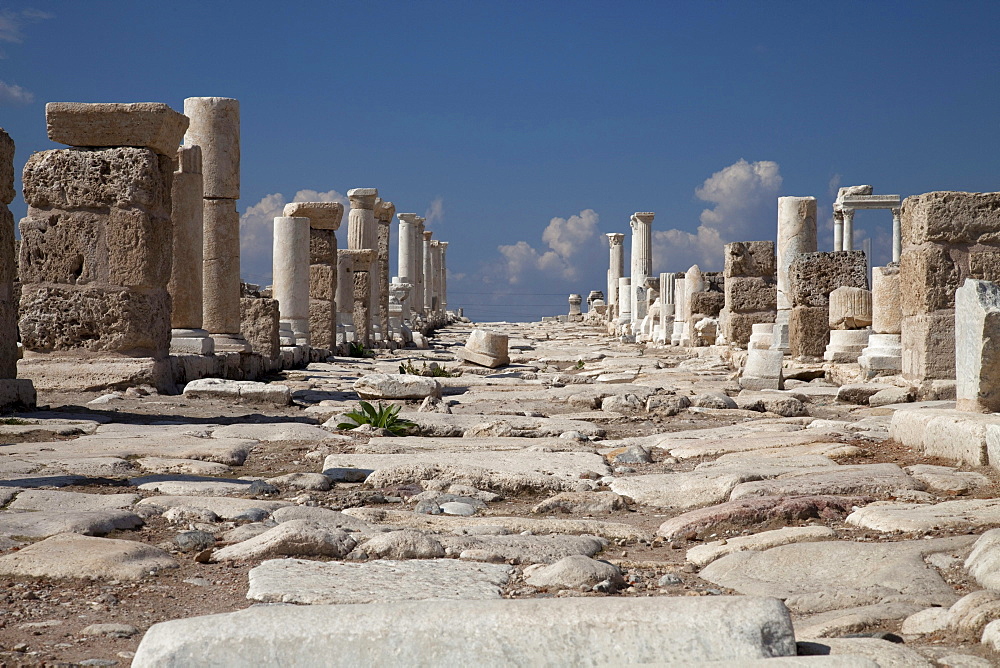 Syria Street, archeological site, museum, Laodicea, Denizli, Lycia, Turkey, Asia