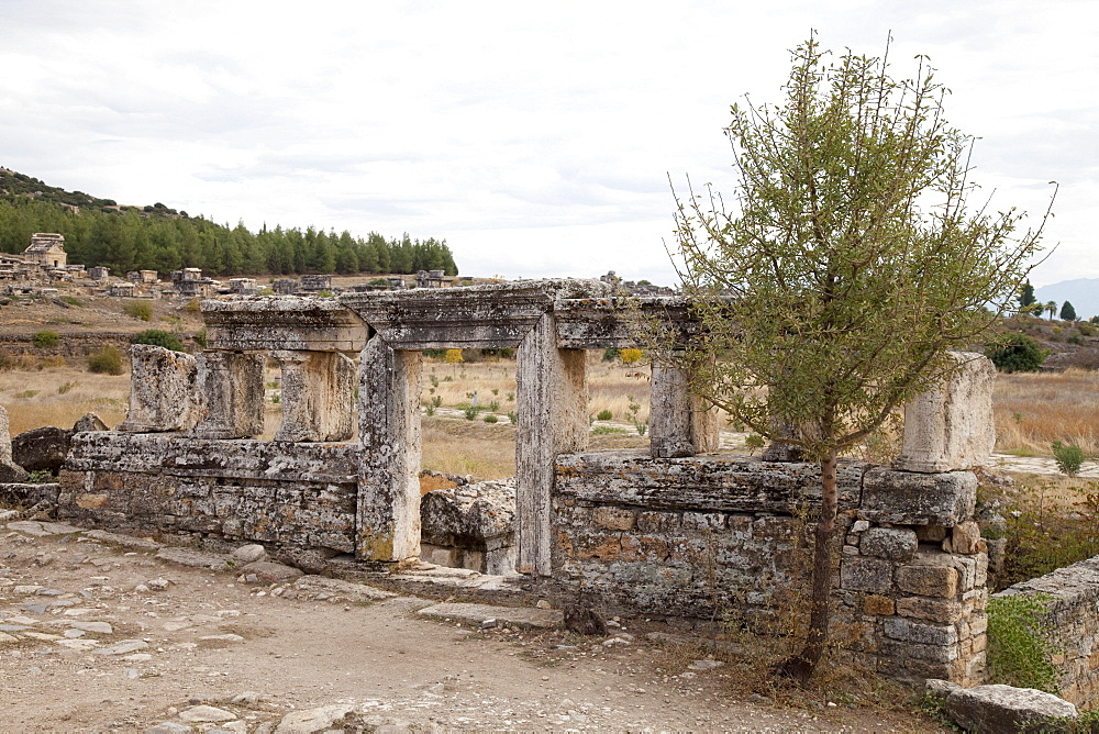 Tomb, Hierapolis, Pamukkale, Denizli, Turkey, Asia