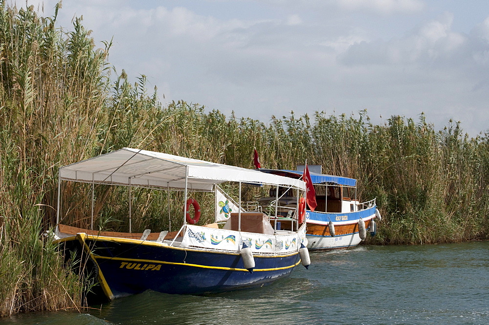 Boats in the lagoon of Dalyan, Lycia, Turkey, Asia